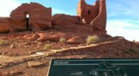 Arizona resident dies of pneumonic plague