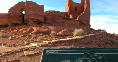 Arizona resident dies of pneumonic plague