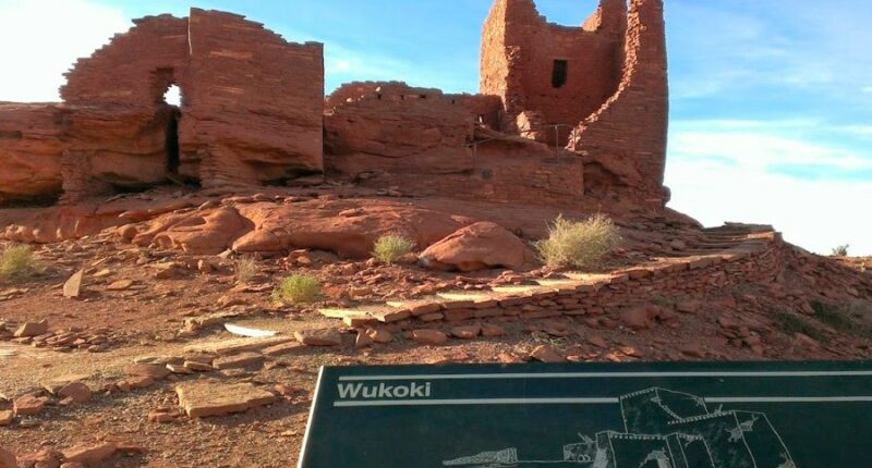 Arizona resident dies of pneumonic plague
