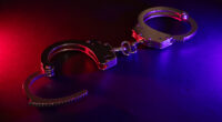 Arrest made in macabre 'human flesh' teddy bear prank