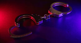 Arrest made in macabre 'human flesh' teddy bear prank