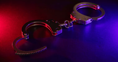 Arrest made in macabre 'human flesh' teddy bear prank