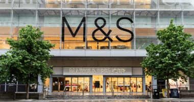 As M&S looks to challenge the big supermarkets, which shares should go in your trolley?