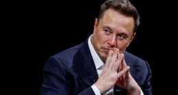 As a bombshell new book raises safety questions, have Elon Musk's dreams of a world full of driverless Teslas already run off the road?
