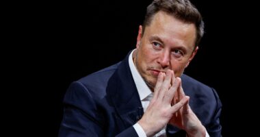 As a bombshell new book raises safety questions, have Elon Musk's dreams of a world full of driverless Teslas already run off the road?