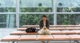 Asians are avoiding trips to U.S. this year for a variety of reasons