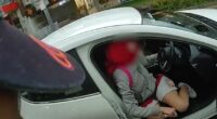 Bodycam shows the moment police arrest suspected car thief with therapy dog
