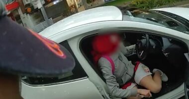 Bodycam shows the moment police arrest suspected car thief with therapy dog