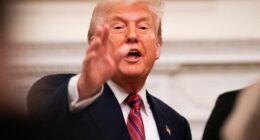 Bondi told Trump his name was in Jeffrey Epstein files