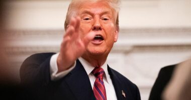Bondi told Trump his name was in Jeffrey Epstein files