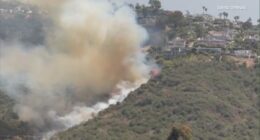 Boy, 13, arrested for starting Laguna Beach blaze with fireworks: LBPD