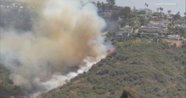 Boy, 13, arrested for starting Laguna Beach blaze with fireworks: LBPD