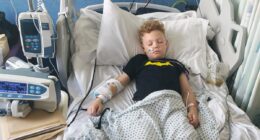 Boy, seven, almost dies after swallowing 'humbug size' magnets from dangerous game parents want banned