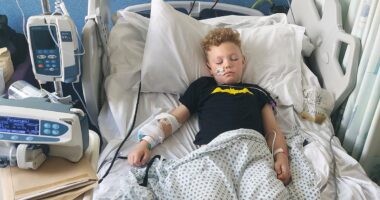 Boy, seven, almost dies after swallowing 'humbug size' magnets from dangerous game parents want banned