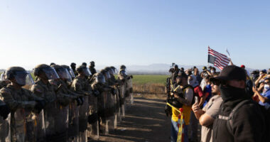CA Professor Arrested for Allegedly Throwing Tear Gas at ICE Agents