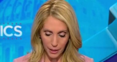 CNN host Dana Bash refuses to read Trump's insulting quote live on air as he launches fresh attack on network
