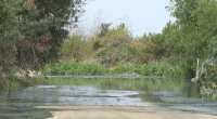 California lawmakers ask Trump to address sewage pollution from Mexico