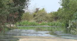 California lawmakers ask Trump to address sewage pollution from Mexico