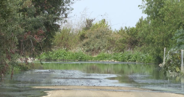 California lawmakers ask Trump to address sewage pollution from Mexico