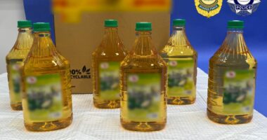 Charge over alleged liquid methamphetamine oil plot
