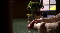 Childcare worker raised complaints about accused paedophile