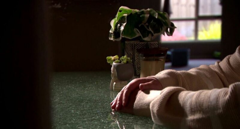 Childcare worker raised complaints about accused paedophile