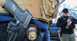 Dem RI State Rep.: Homan, ICE Protecting Us, Cops Should Be Required to Help ICE