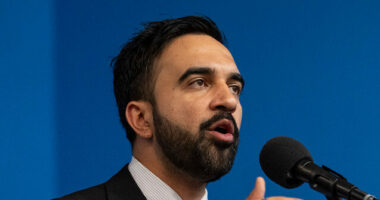 Democrat Congressman: Zohran 'Mamdani Isn't Speaking for Our Party'