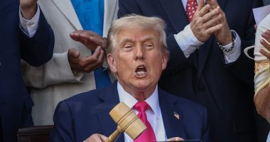 Democrats call for violence to counter Trump agenda and tell lawmakers to prepare to 'get shot'