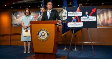 Democrats play hardball on Epstein files