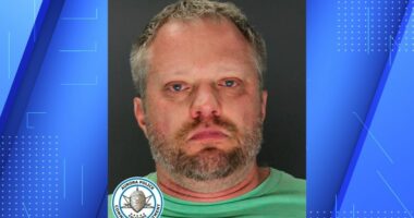 Dentist asked daughter to help cover up wife's murder: Prosecution
