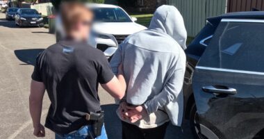 Dog breeder charged after alleged punch-up at terrier show