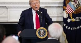 Donald Trump reveals how 'fake news' CNN prompted one of the most consequential moments of his presidency