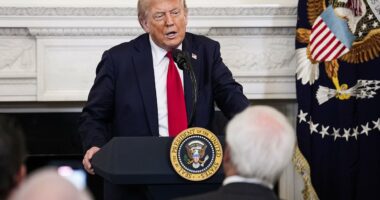 Donald Trump reveals how 'fake news' CNN prompted one of the most consequential moments of his presidency