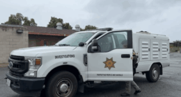 Driver turns self in after seeing TV coverage of dog being dragged behind truck