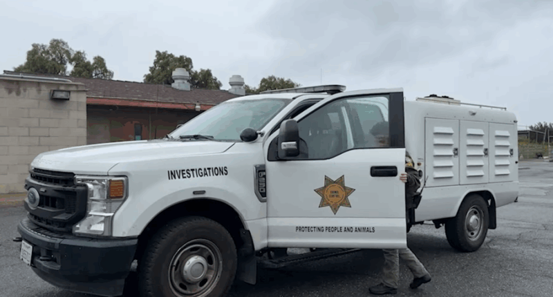 Driver turns self in after seeing TV coverage of dog being dragged behind truck