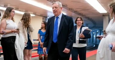 Durbin: FBI agents were told to 'flag' Epstein records that mentioned Trump