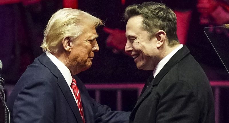 Elon Musk faces glaring hurdle as he forms new America Party after Trump feud
