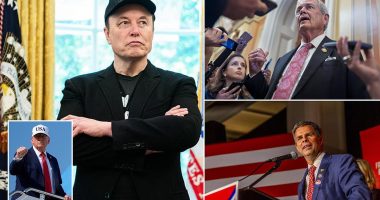 Elon Musk goes quiet on Trump's epic Big, Beautiful Bill as Republicans brush off his ominous threats of political revenge
