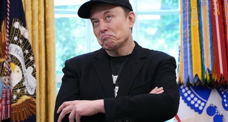 Elon Musk slammed for sticking the knife into Donald Trump in pettiest way ever as feud spirals
