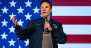 Elon Musk unfollows MAGA allies as he fumes over Jeffrey Epstein client list 'cover-up'