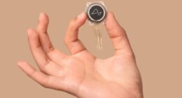 Elon Musk's brain chip company Neuralink to test implants in UK