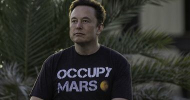 Elon Musk's dreams to colonize Mars hit by intergalactic hurdle