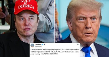 Elon goes nuclear on 'insane spending bill' with new pledge that could threaten Trump's Republican majority