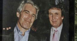 Epstein brother: White House claim 'blatant lie'
