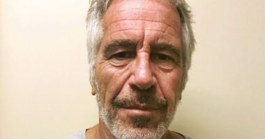 Epstein files 'destroyed' by Biden administration: Rep. Burchett