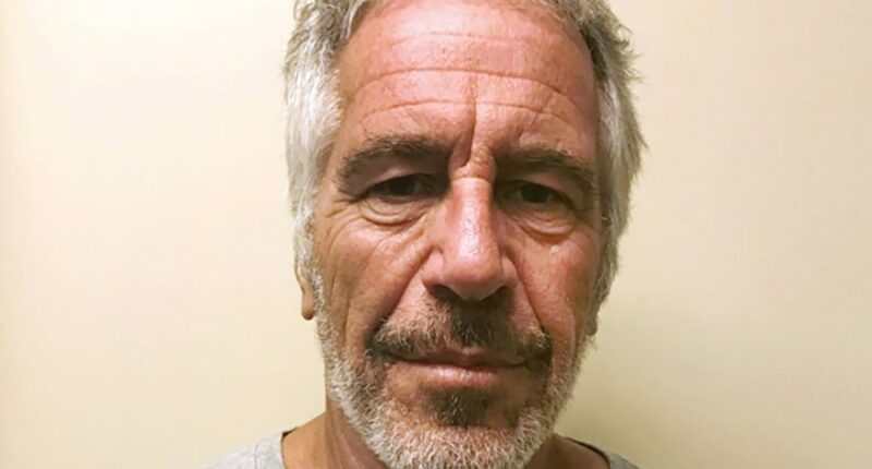 Epstein files 'destroyed' by Biden administration: Rep. Burchett