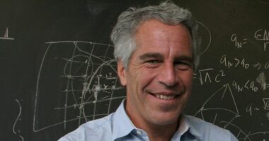 Epstein-related books and TV shows explode after Trump claim