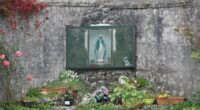 Excavation to begin at Irish house of horrors mother and baby burial site where 800 child corpses were hidden - as officials warn it will take TWO YEARS to complete the task