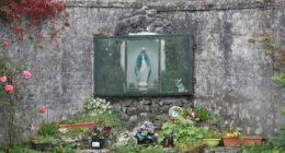Excavation to begin at Irish house of horrors mother and baby burial site where 800 child corpses were hidden - as officials warn it will take TWO YEARS to complete the task